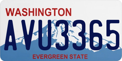 WA license plate AVU3365