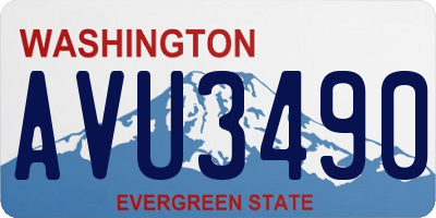 WA license plate AVU3490