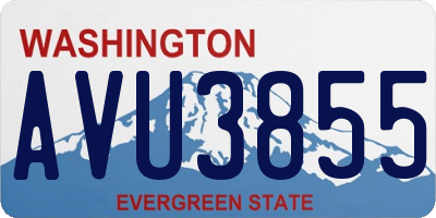 WA license plate AVU3855
