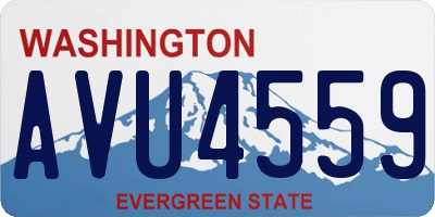 WA license plate AVU4559