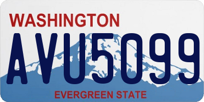 WA license plate AVU5099