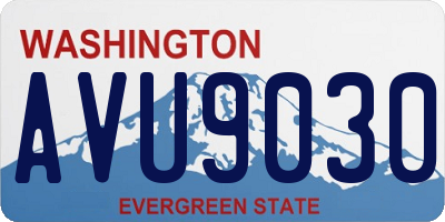WA license plate AVU9030