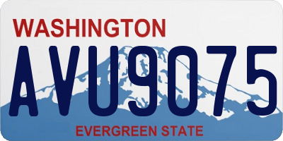 WA license plate AVU9075