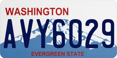 WA license plate AVY6029