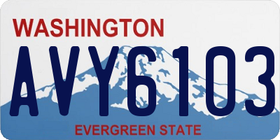 WA license plate AVY6103