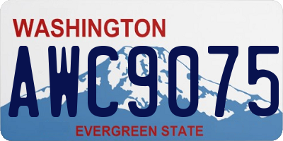 WA license plate AWC9075