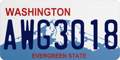 WA license plate AWG3018