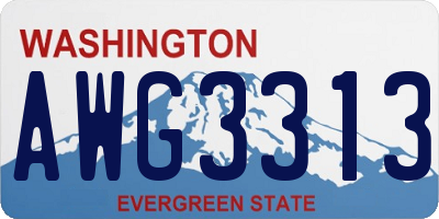 WA license plate AWG3313
