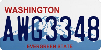 WA license plate AWG3348