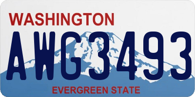 WA license plate AWG3493
