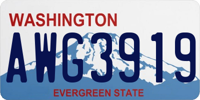 WA license plate AWG3919