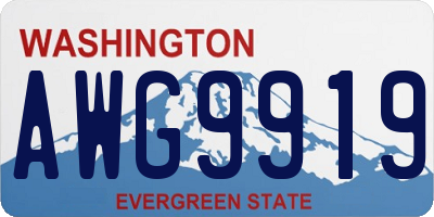 WA license plate AWG9919