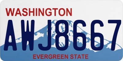 WA license plate AWJ8667