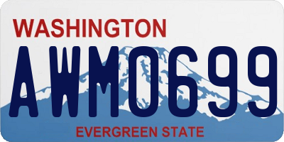 WA license plate AWM0699