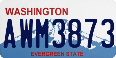 WA license plate AWM3873