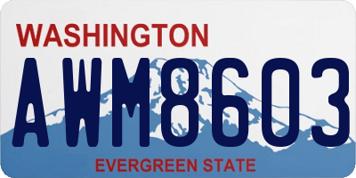 WA license plate AWM8603