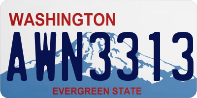 WA license plate AWN3313