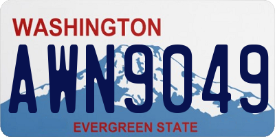 WA license plate AWN9049