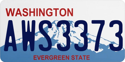WA license plate AWS3373