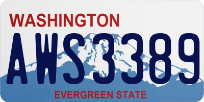 WA license plate AWS3389