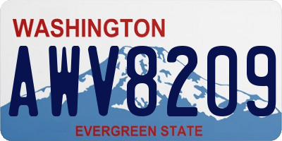WA license plate AWV8209