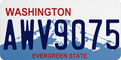 WA license plate AWV9075