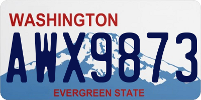 WA license plate AWX9873