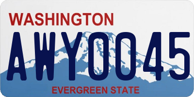 WA license plate AWY0045