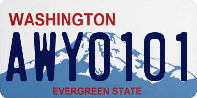 WA license plate AWY0101