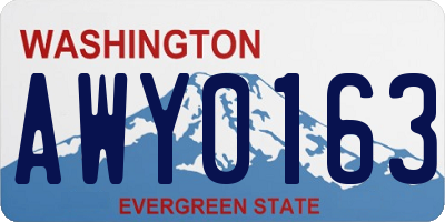 WA license plate AWY0163