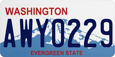 WA license plate AWY0229
