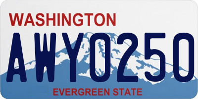 WA license plate AWY0250