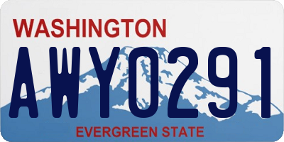 WA license plate AWY0291