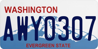 WA license plate AWY0307