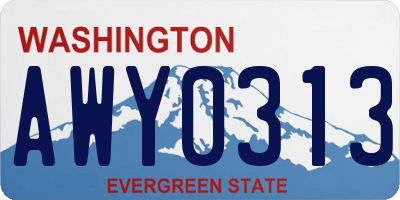 WA license plate AWY0313
