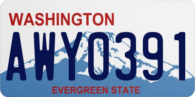 WA license plate AWY0391