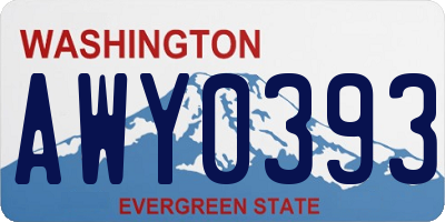 WA license plate AWY0393