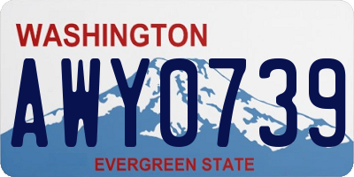 WA license plate AWY0739