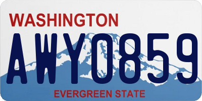 WA license plate AWY0859