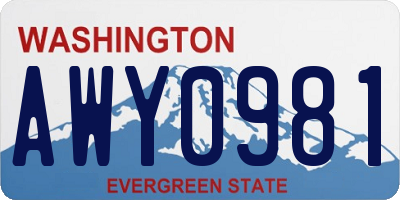 WA license plate AWY0981