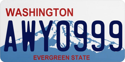 WA license plate AWY0999