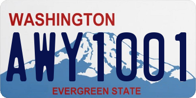 WA license plate AWY1001