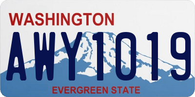 WA license plate AWY1019