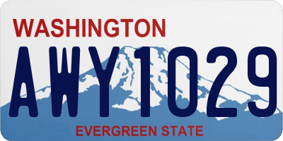 WA license plate AWY1029