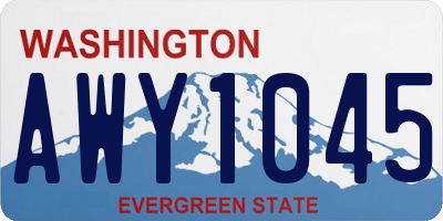 WA license plate AWY1045