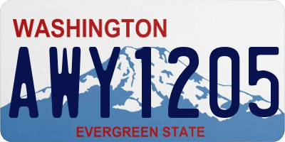 WA license plate AWY1205