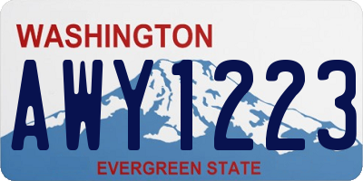 WA license plate AWY1223