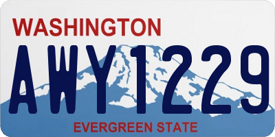 WA license plate AWY1229