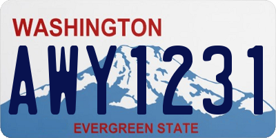 WA license plate AWY1231