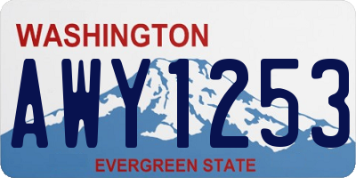 WA license plate AWY1253